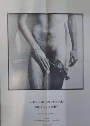 mio vesović: rosebud (pupoljak)