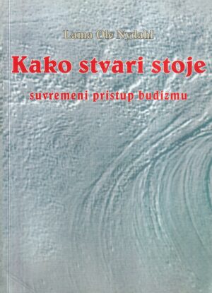 lama ole nydahl: kako stvari stoje