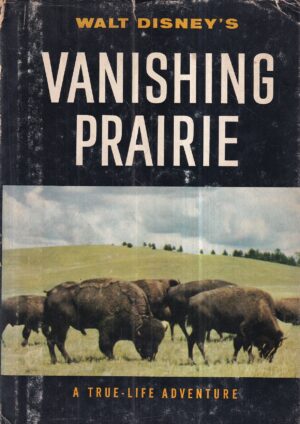 jane werner: vanishing prairie