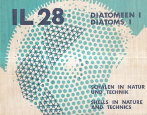 il 28: diatomeen i/diatoms i