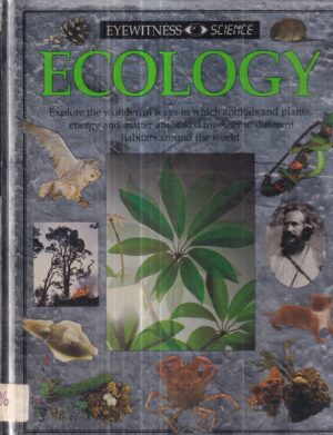 steve pollock: ecology