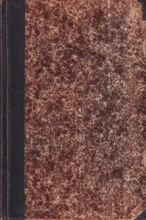 adolfo veber: put u carigrad