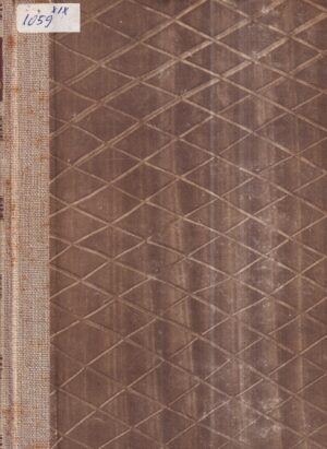 vladimir nazor: l'orso brundo