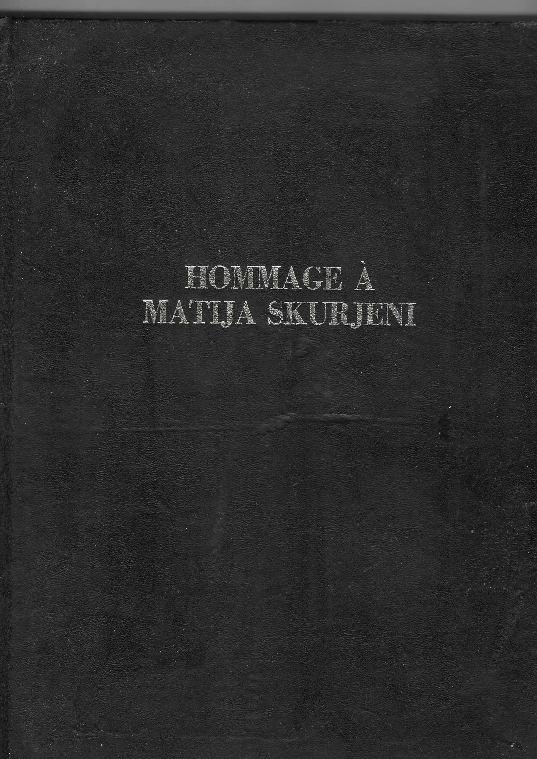 hommage a matija skurjeni