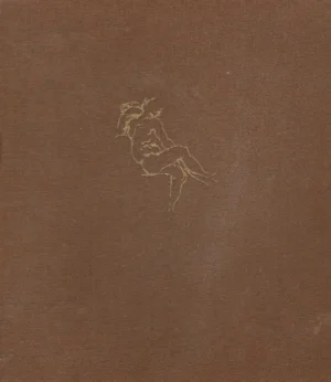 Ugo Nebbia: Michelangelo