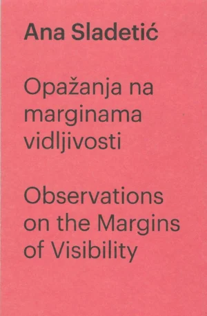 Ana Sladetić: Opažanja na marginama vidljivosti
