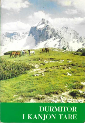 Durmitor i Kanjon Tare
