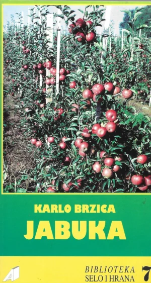 Karlo Brzica: Jabuka