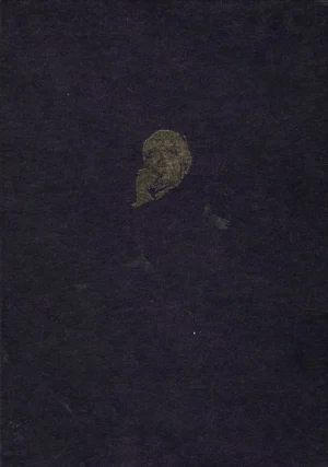 Velimir Visković: Krležijana