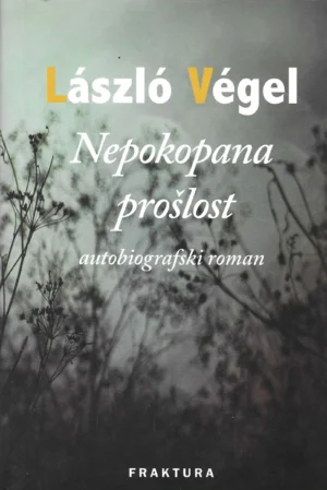 Laszlo Vegel: Nepokopana prošlost