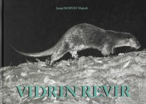 Josip Horvat Majzek: Vidrin revir
