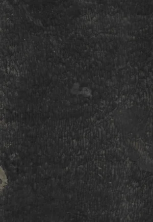 Ludwig Förster: Allgemeine Bauzeitung mit Abbildungen. Österreichische Vierteljahrschrift für den öffentlichen Baudienst