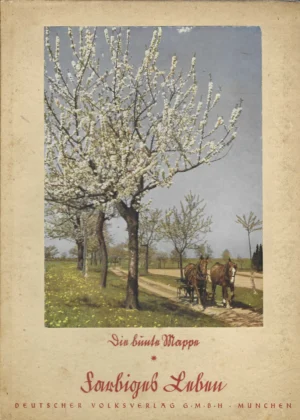 Die bunte Mappe: Farbiges Leben