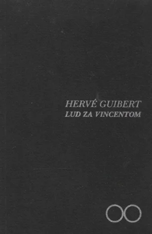 Herve Guibert: Lud za Vincentom