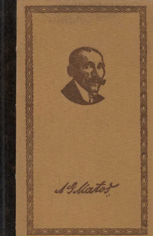 Dubravko Jelčić: Antun Gustav Matoš