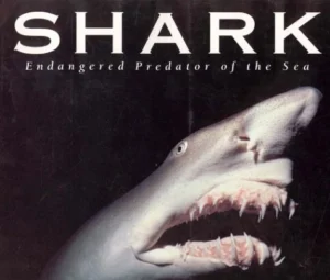 Shark: Endangered predator of the Sea