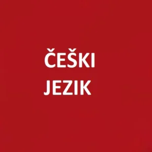 Češki jezik