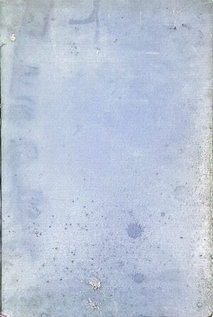 Dom i sviet, ilustrovani list, 1897. godina, br. 1-24