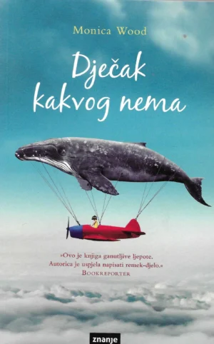 Monica Wood: Dječak kakvog nema