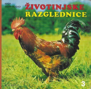 Nada Zidar-Bogadi: Životinjske razglednice