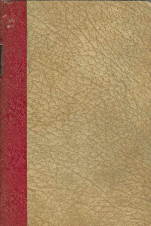 fjodor-dostojevski-idiot-1-2-naslovnica