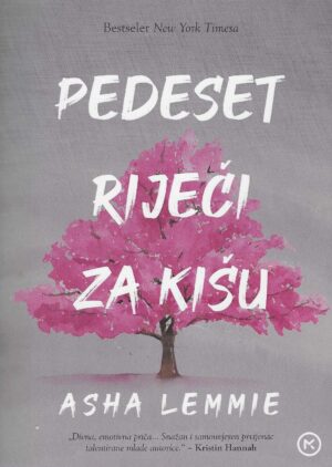 Asha Lemmie: Pedeset riječi za kišu