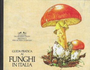 Guida pratica ai funghi in Italia