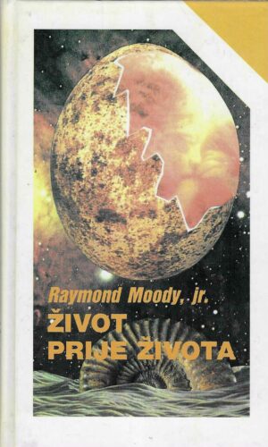 Raymond Moody Jr.: Život prije života