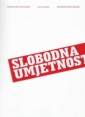 Zoran Pavelić: Pobuđivački mehanizmi/ Wakening Mechanisms