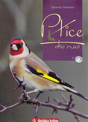 Zdravko Dolenec: Ptice tu oko nas