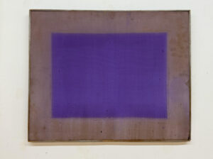 Božidar Jelenić: Fotosinteza 49x60cm