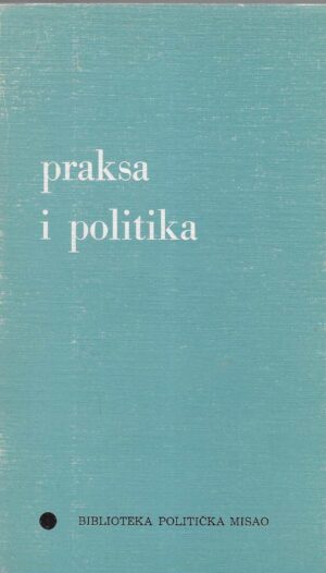 Davor Rodin: Praksa i politika