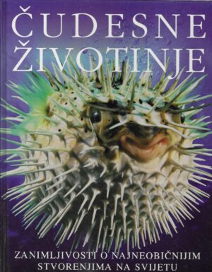 Jacqui Bailey: Čudesne životinje