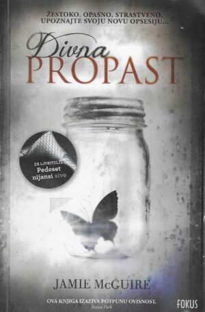 Jamie McGuire: Divna propast