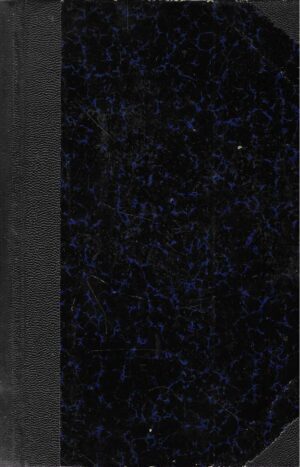 Vjenceslav Novak: Posljednji Stipančići