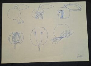 Miroslav Šutej: Crtež 30x21 cm