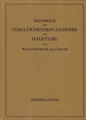 W. Ellenberger, H. Baum: Handbuch der Vergleichenden Anatomie der Haustiere